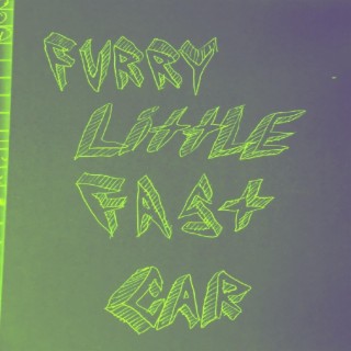 Furry Little Fast Car