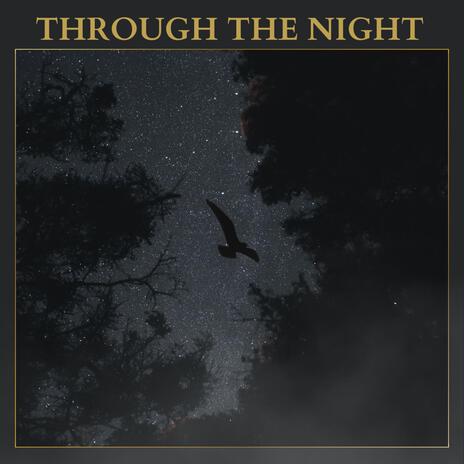 through the night | Boomplay Music