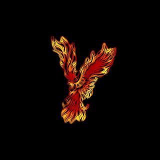 A PHOENIX NEVER DIES INSTRUMENTALS (INSTRUMENTAL)