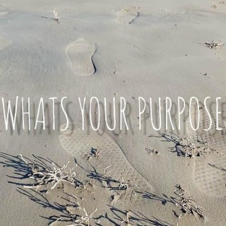 What's Your Purpose?