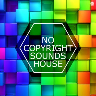 No Copyright Sounds House