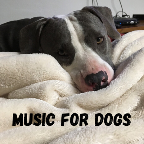 Chasing Dreams ft. Music For Dogs Peace, Relaxing Puppy Music & Calm Pets Music Academy | Boomplay Music