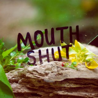 Mouth Shut lyrics | Boomplay Music