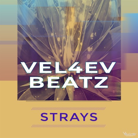 Strays | Boomplay Music