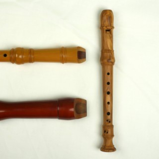 The All Recorder All Day Recital Play-Along