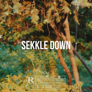 SEKKLE DOWN lyrics | Boomplay Music