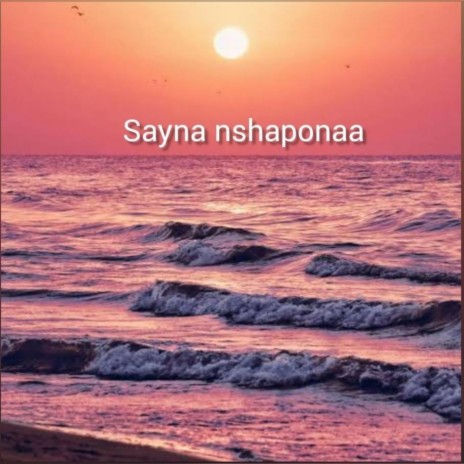 Nshapona | Boomplay Music