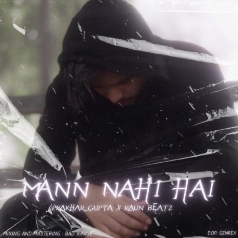 Mann Nahi Hai | Boomplay Music