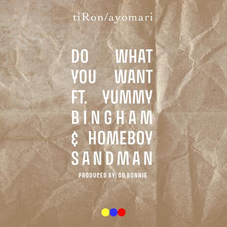 Do What You Want (Radio Edit) ft. Yummy Bingham & Homeboy Sandman | Boomplay Music