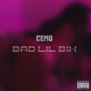 Bad Lil Bih lyrics | Boomplay Music
