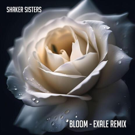 Bloom (Exale Remix) ft. Shaker Sisters | Boomplay Music