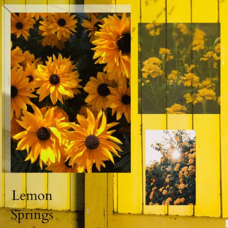 Lemon Springs | Boomplay Music
