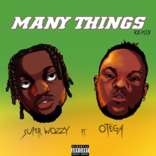 Many things (Remix) ft. Otega lyrics | Boomplay Music