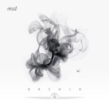 Orchid | Boomplay Music