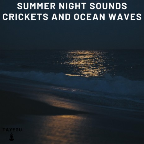 Summer Night Sounds Crickets and Ocean Waves 1 Hour Relaxing Ambience Yoga Nature Meditation Sounds For Sleeping Relaxation or Studying