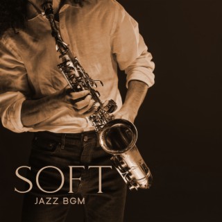 Soft Jazz BGM: Various Type of Jazz, Intrumental Relaxing Jazz Music