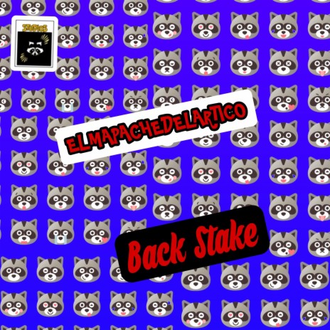 Back Stake | Boomplay Music