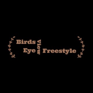 Bird's Eye View Freestyle lyrics | Boomplay Music