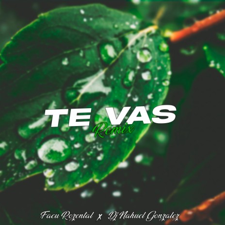 Te Vas (Remix) ft. DJ Nahuel Gonzalez | Boomplay Music