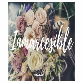 Inmarcesible (feat. Solrac)