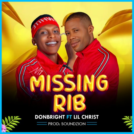 My Missing Rib ft. LIL CHRIST | Boomplay Music