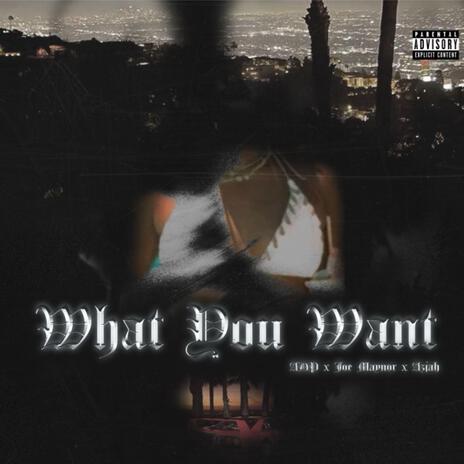 What You Want ft. Joe Maynor & Azjah | Boomplay Music