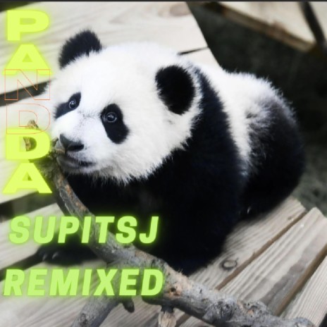 Panda (SupItsJ Remix) | Boomplay Music