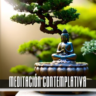 Meditación Contemplativa: Relajación Meditaiva Profunda y Respiración Correcta