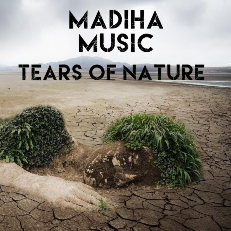 Tears of Nature | Boomplay Music