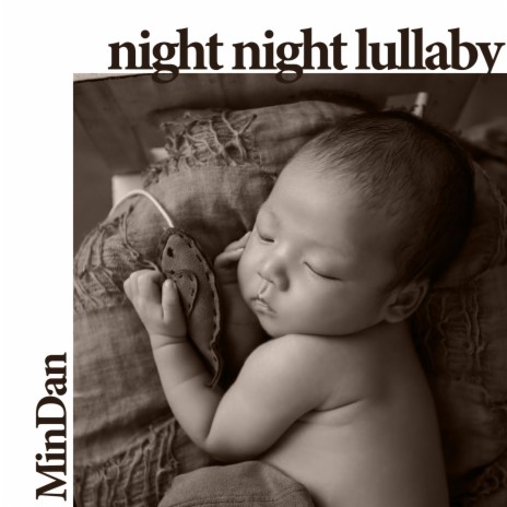 Night Night Lullaby | Boomplay Music