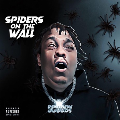 Spiders on the wall | Boomplay Music