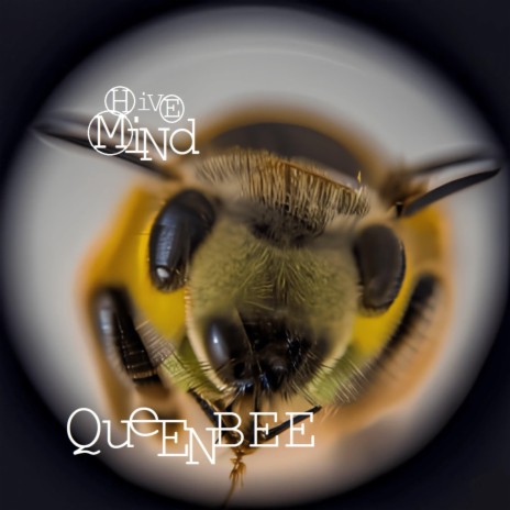 Queen Bee | Boomplay Music