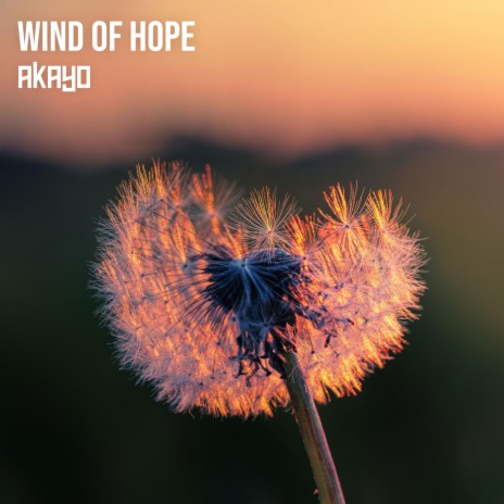 Wind of Hope | Boomplay Music
