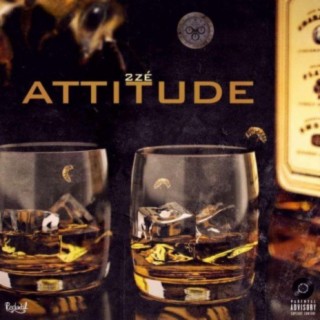 Attitude #1
