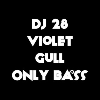 Violet Gull Only Bass