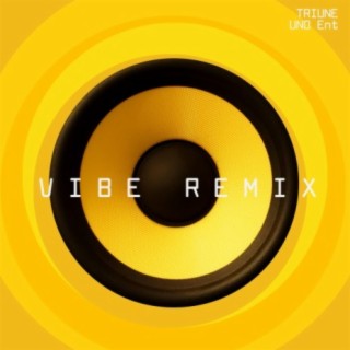 Vibe (Remix)