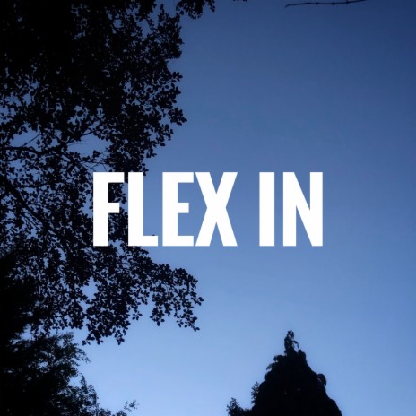 Flex In | Boomplay Music