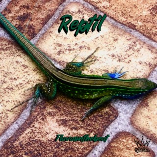 Reptil