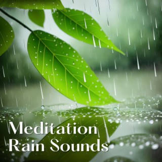 Meditation Rain Sounds: Deeply Relaxing Music to Cure PTSD