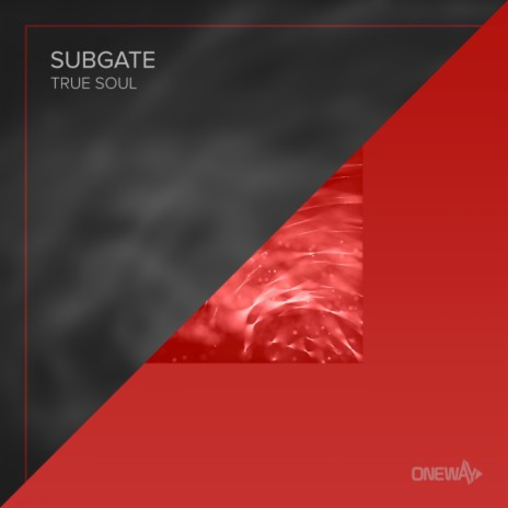 True Soul (Original Mix)