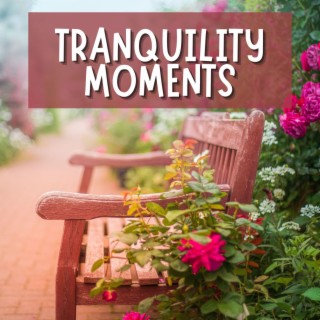 Tranquility Moments: Ambient New Age Soundscapes for Relaxation, Meditation and Yoga