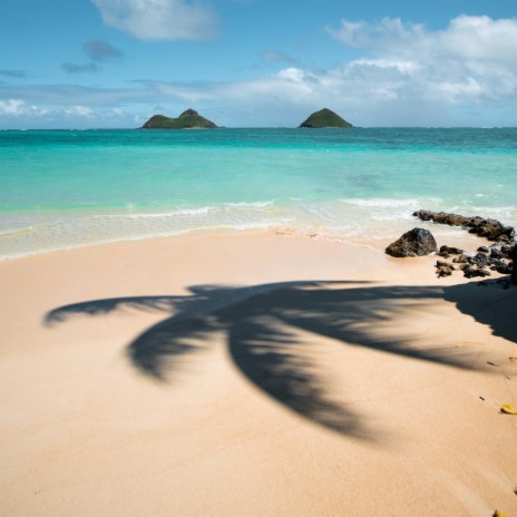 Более Длительный Сон Под Звуки Океана - Мирные Звуки Океана MP3.