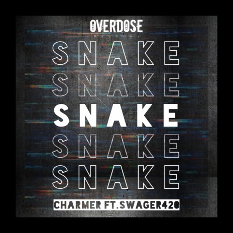 Snake (feat. Swager420) | Boomplay Music