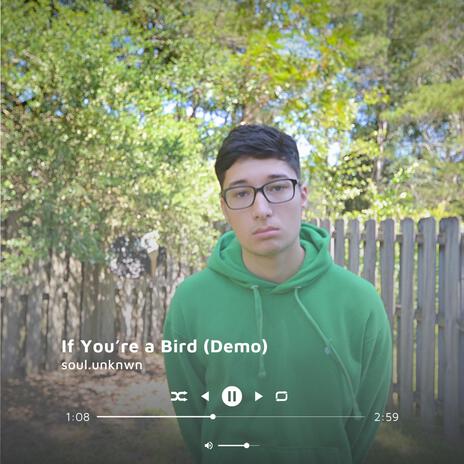 If You're a Bird (Demo)