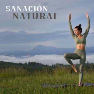 Sanación Natural: Sonidos New Age Instrumentales de la Naturaleza para el Equilibrio de Energía, Música Relajante de Meditación Mindfulness y Yoga Vibracional