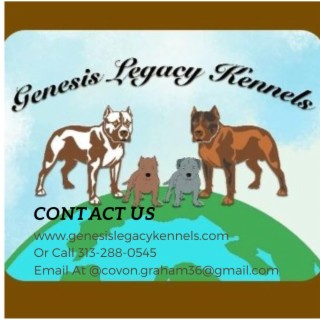 GENESIS LEGACY KENNELS (GLK)