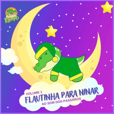 Ninando Com a Flautinha - Ao Som dos Passáros | Boomplay Music