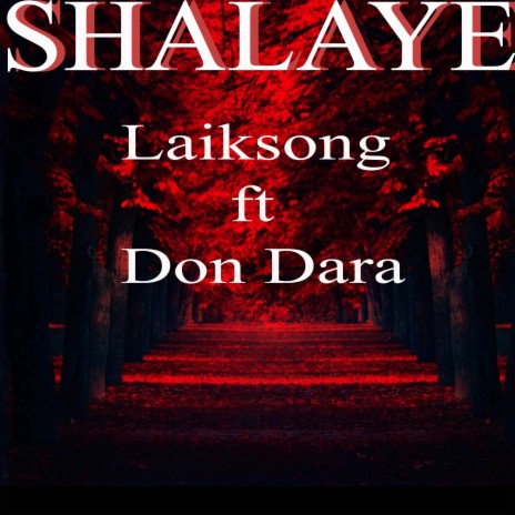 Shalaye ft. Don Dara