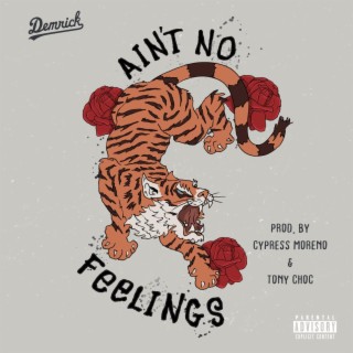 Ain't No Feelings