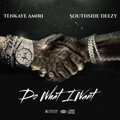 Do What I Want ft. Southside Deezy | Boomplay Music